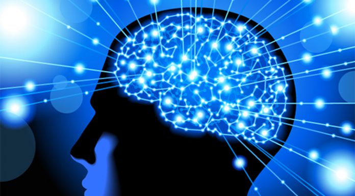 MEMORY BOOSTERS